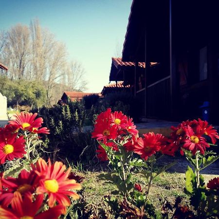 El Venero De Mostoles Constantina Zewnętrze zdjęcie