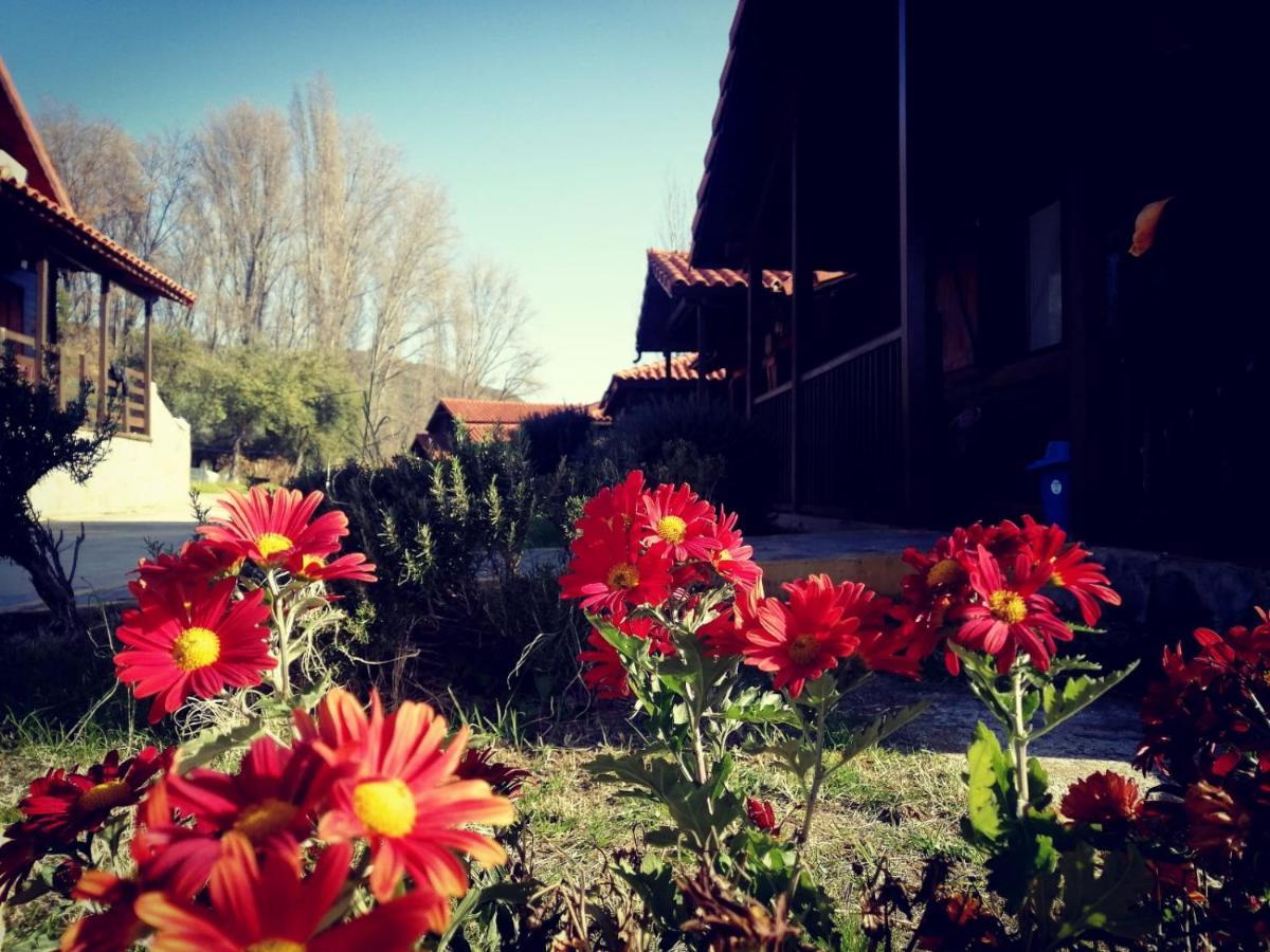 El Venero De Mostoles Constantina Zewnętrze zdjęcie